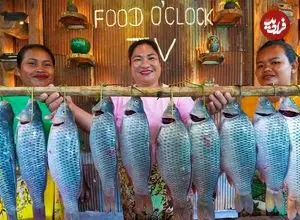 ببییند| غذای روستایی در سنگاپور؛ کباب ماهی کپور در تنور زیر زمینی بزرگ در روستا