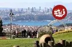 عکس| سفر زمان؛ منظرۀ متفاوت «استانبول» در 130 سال قبل