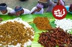(ویدئو) غذای روستایی در هند؛ پخت 80 کیلوچلو گوشت و چلو ماهی