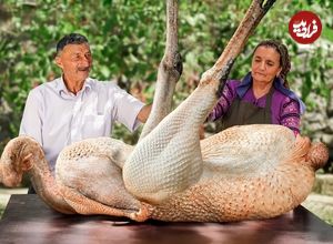 ببینید؛ غذای روستایی در آذربایجان؛ کباب کردن یک شتر مرغ کامل در تنور زیر زمینی