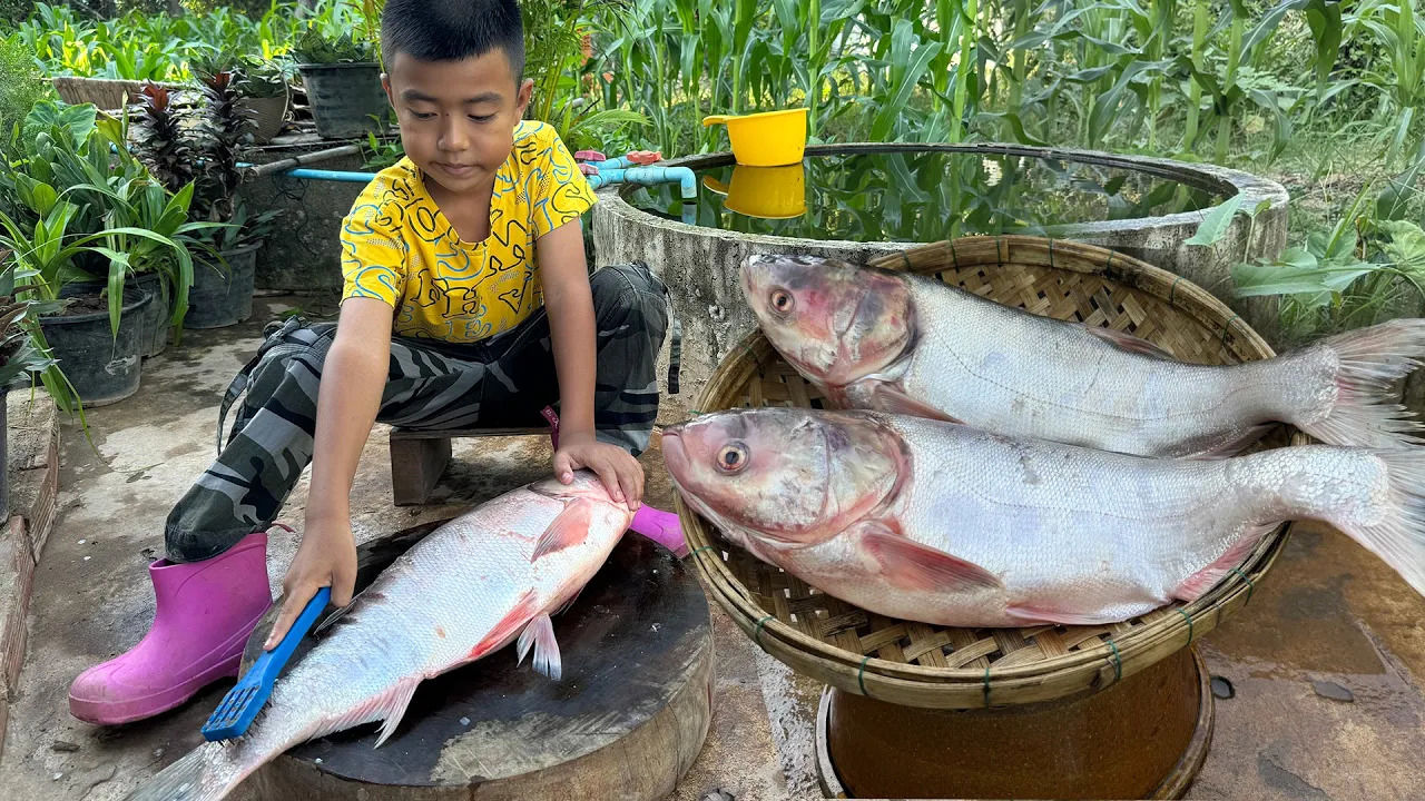 (ویدئو) نمایی نزدیک از پخت متفاوت یک ماهی بزرگ به روش کودک سنگاپوری