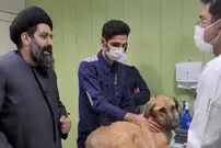 (عکس) گربه زخمی بر شانه روحانی ایرانی حامی حیوانات