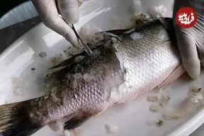 ببینید| غذای خیابانی در تایلند؛ پخت باراماندی با ماهی سی بس در بانکوک