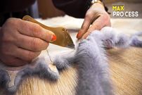 ببینید؛ مراحل دیدنی دوخت یک پالتوی زنانه با پوست سمور 