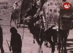 عکس| سفر زمان؛ کاروان قاجاری در راه بندرعباس؛ سفر با شتر و الاغ در جنوب ایران