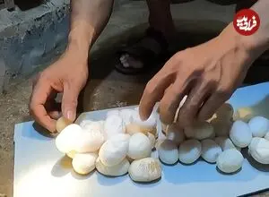 ویدئو| برداشت تخم هزاران کبرا؛ نگاهی به یک مرکز پرورش مار در ویتنام