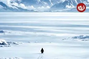 ببینید| پنگوئن نیهیلیست ؛ کلیپ ترند این روزهای شبکه‌های اجتماعی و واکنش ترامپ