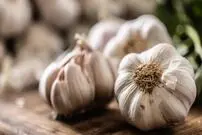 با خوردن منظم سیر چه اتفاقی برای بدن شما می افتد؟