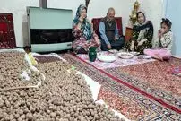 ببینید| غذای روستایی در ایران؛ پخت خورشت فسنجان با گردوی تازه