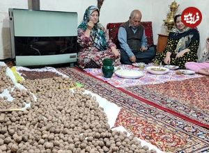 ببینید| غذای روستایی در ایران؛ پخت خورشت فسنجان با گردوی تازه