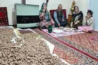 ببینید| غذای روستایی در ایران؛ پخت خورشت فسنجان با گردوی تازه