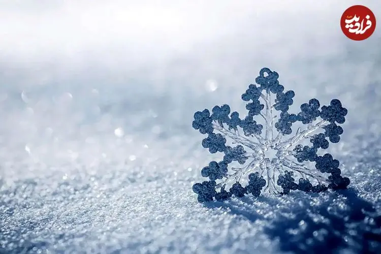 عکس؛ سرمای واقعی فردا پنجشنبه از راه می‌رسد