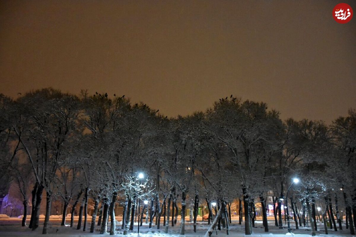 عکس؛ در این گرمای هوا در همدان برف بارید