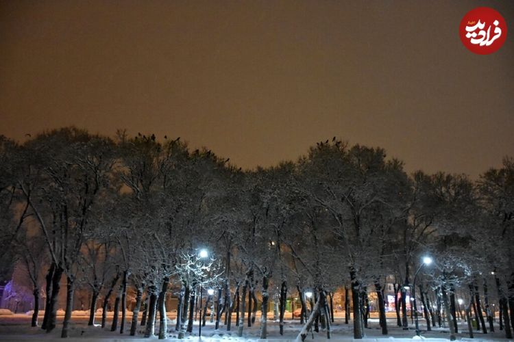عکس؛ در این گرمای هوا در همدان برف بارید