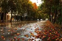 عکس| سفر به تهران قدیم؛ نمایی از «خیابان ولیعصر، وقتی هنوز سنگفرش نبود»؛ سال 1312