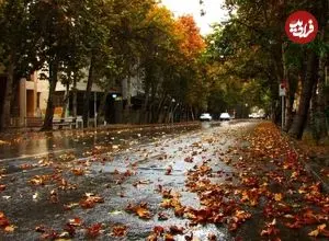 عکس| سفر به تهران قدیم؛ نمایی از «خیابان ولیعصر، وقتی هنوز سنگفرش نبود»؛ سال 1312