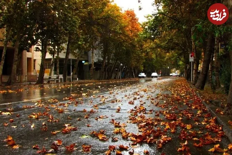 عکس| سفر به تهران قدیم؛ نمایی از «خیابان ولیعصر، وقتی هنوز سنگفرش نبود»؛ سال 1312