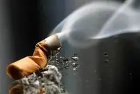 (ویدیو) محتویات سیگار زیر میکروسکوپ
