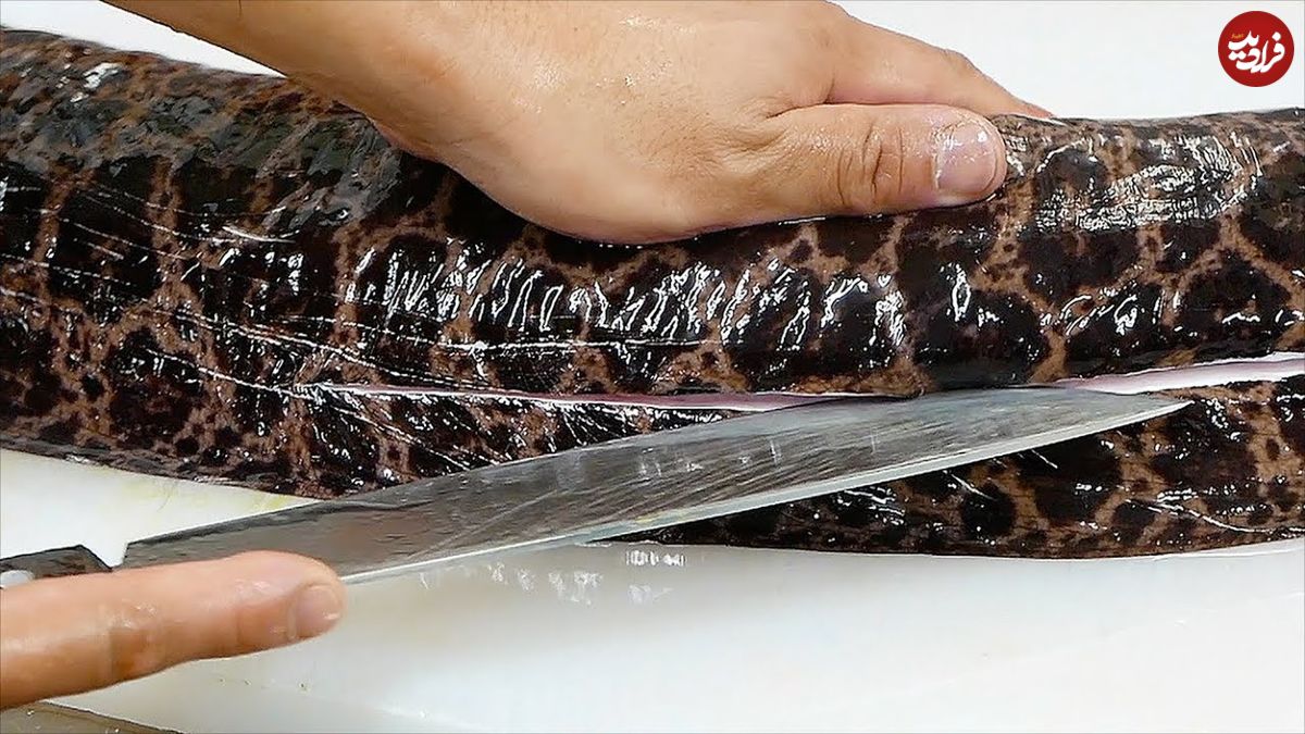ببینید| غذای خیابانی در ژاپن؛ برش مارماهی مورای بزرگ و تهیه ساشیمی و غذاهای متنوع با آن در اوکیناوا