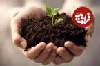 «کمپوست» چیست و چه مزایایی برای گیاهان دارد؟