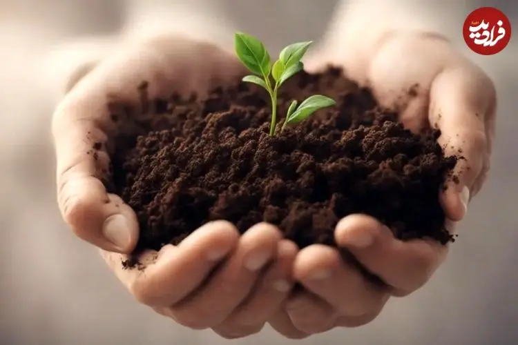 «کمپوست» چیست و چه مزایایی برای گیاهان دارد؟