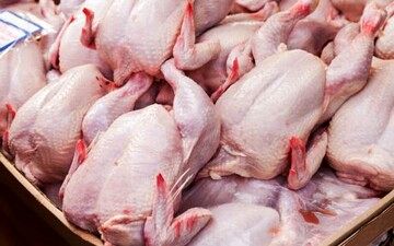 قیمت جدید گوشت مرغ اعلام شد؛ جزییات تغییر قیمت