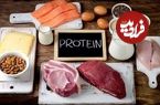 رژیم‌های پُرپروتئین چه بلایی سر روده‌ شما می‌آورند؟