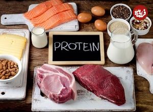 رژیم‌های پُرپروتئین چه بلایی سر روده‌ شما می‌آورند؟