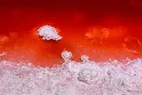 ببینید| این دریاچه را با خون پر کرده‌اند!