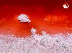 ببینید| این دریاچه را با خون پر کرده‌اند!