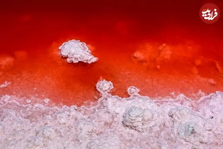 ببینید| این دریاچه را با خون پر کرده‌اند!