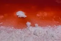 ببینید| این دریاچه را با خون پر کرده‌اند!