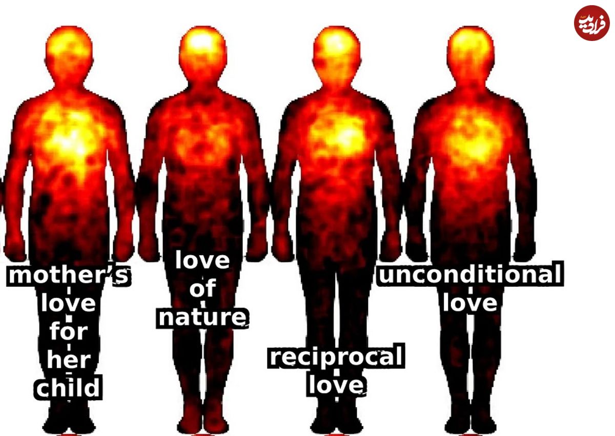 انواع مختلف «عشق» در کجای بدن احساس می‌شوند؟