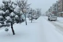 ببینید؛ بارش اولین برف پاییزی، پردیس را سفیدپوش کرد