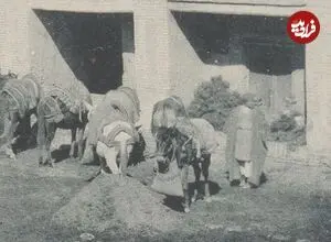 عکس| سفر زمان؛ تصویری از یک «کاروانسرا در کرمانشاه» در حدود 130 سال قبل