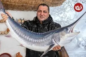 ببینید| غذای روستایی در آذربایجان؛ تهیه دونر کباب با ماهی خاویاری روی آتش در طبیعت