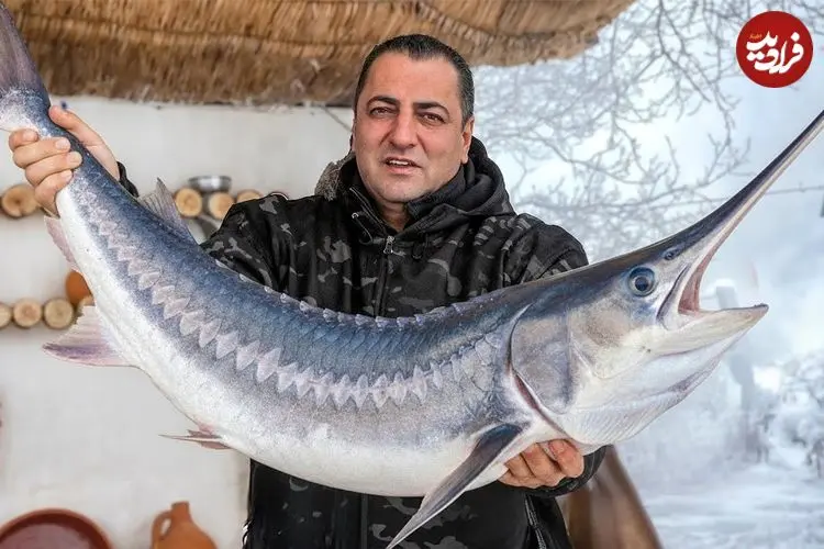 ببینید| غذای روستایی در آذربایجان؛ تهیه دونر کباب با ماهی خاویاری روی آتش در طبیعت