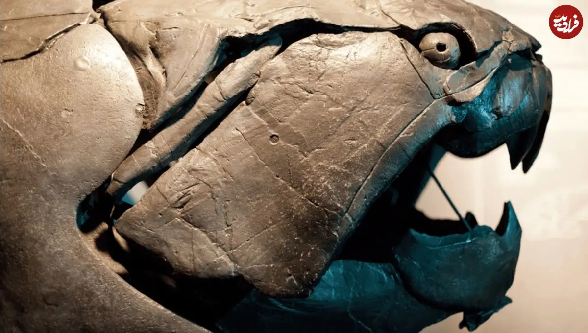 ماهی ترسناکی که ۳۶۰ میلیون سال پیش در آب‌های کم عمق شنا می‌کرد