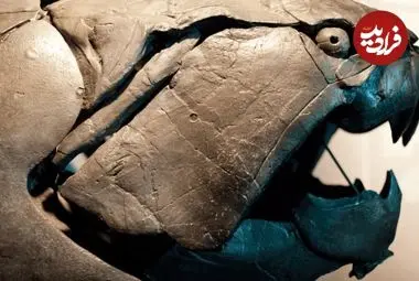 ماهی ترسناکی که ۳۶۰ میلیون سال پیش در آب‌های کم عمق شنا می‌کرد