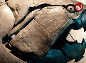 ماهی ترسناکی که ۳۶۰ میلیون سال پیش در آب‌های کم عمق شنا می‌کرد