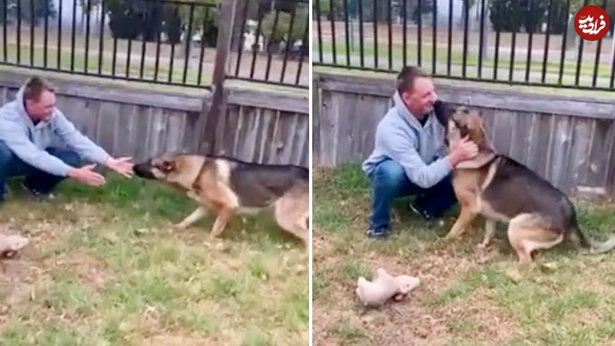 (ویدئو) واکنش هیجان انگیز سگ به دیدار صاحب اش پس از 5 ماه دوری