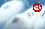 ببینید| آزمایش یک سامانه دفاعی عجیب توسط ارتش چین
