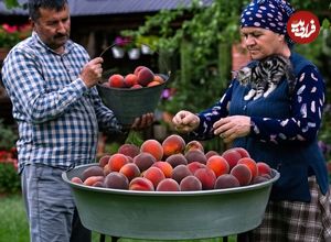 ببییند؛ غذای روستایی در آذربایجان؛ برداشت هلو، تهیه کیک و آبمیوه هلو در روستایی زیبا