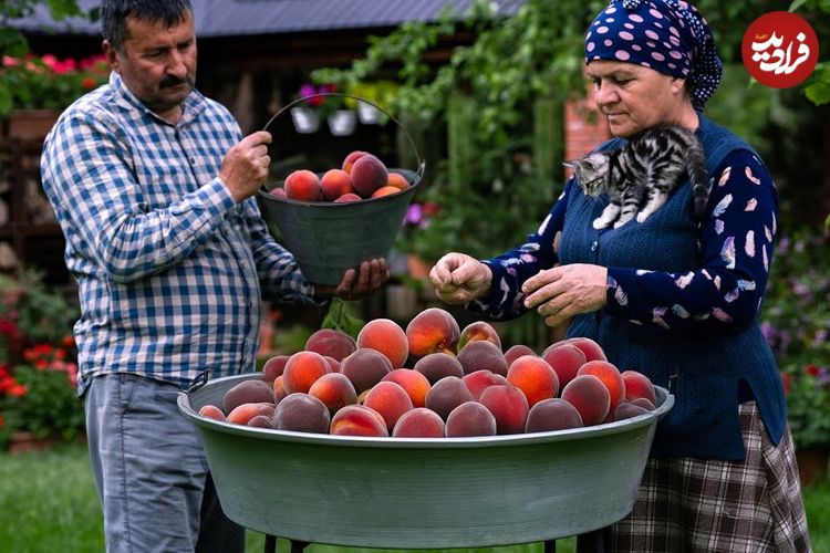ببییند؛ غذای روستایی در آذربایجان؛ برداشت هلو، تهیه کیک و آبمیوه هلو در روستایی زیبا