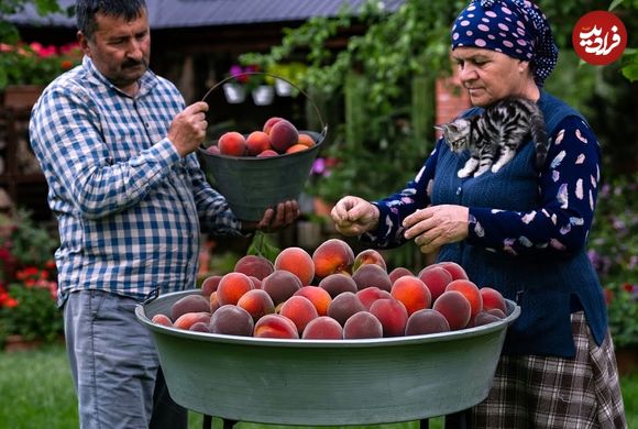 ببییند؛ غذای روستایی در آذربایجان؛ برداشت هلو، تهیه کیک و آبمیوه هلو در روستایی زیبا