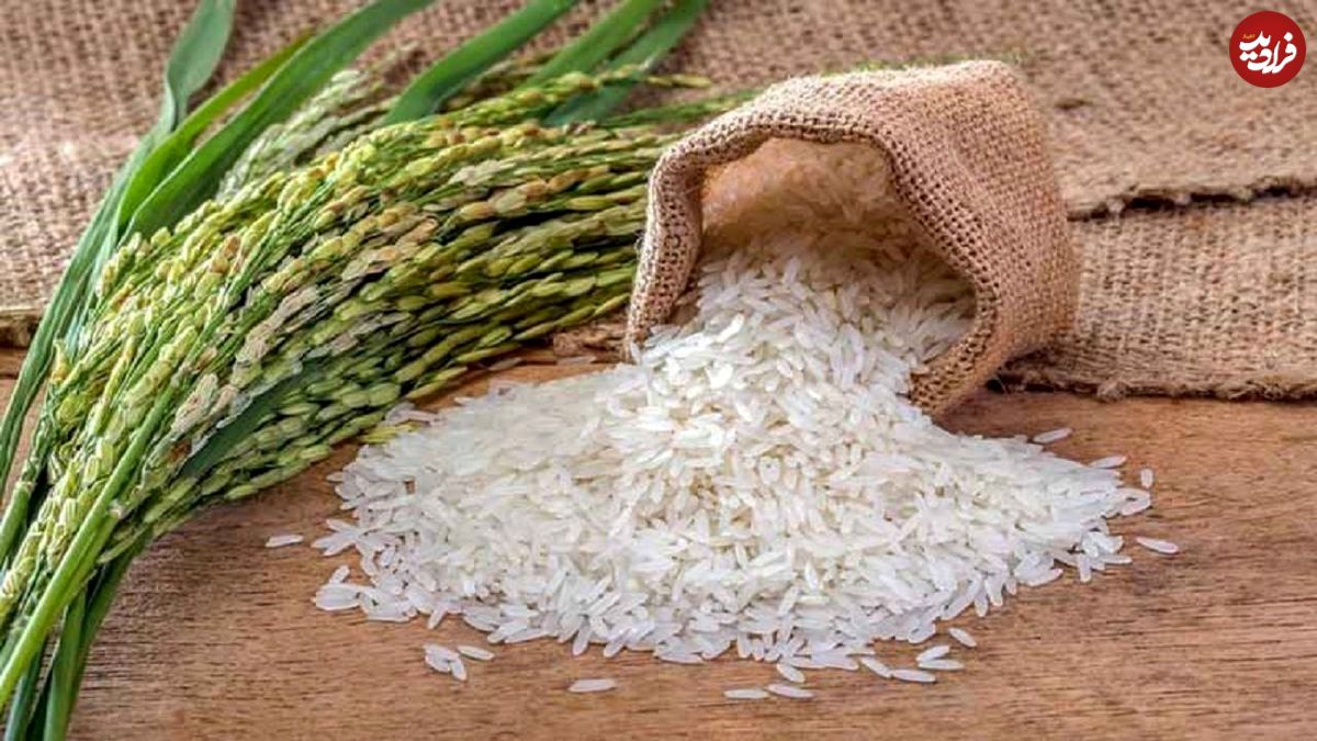 وقتی برنج در رشت ۵۰ درصد ارزان شد 