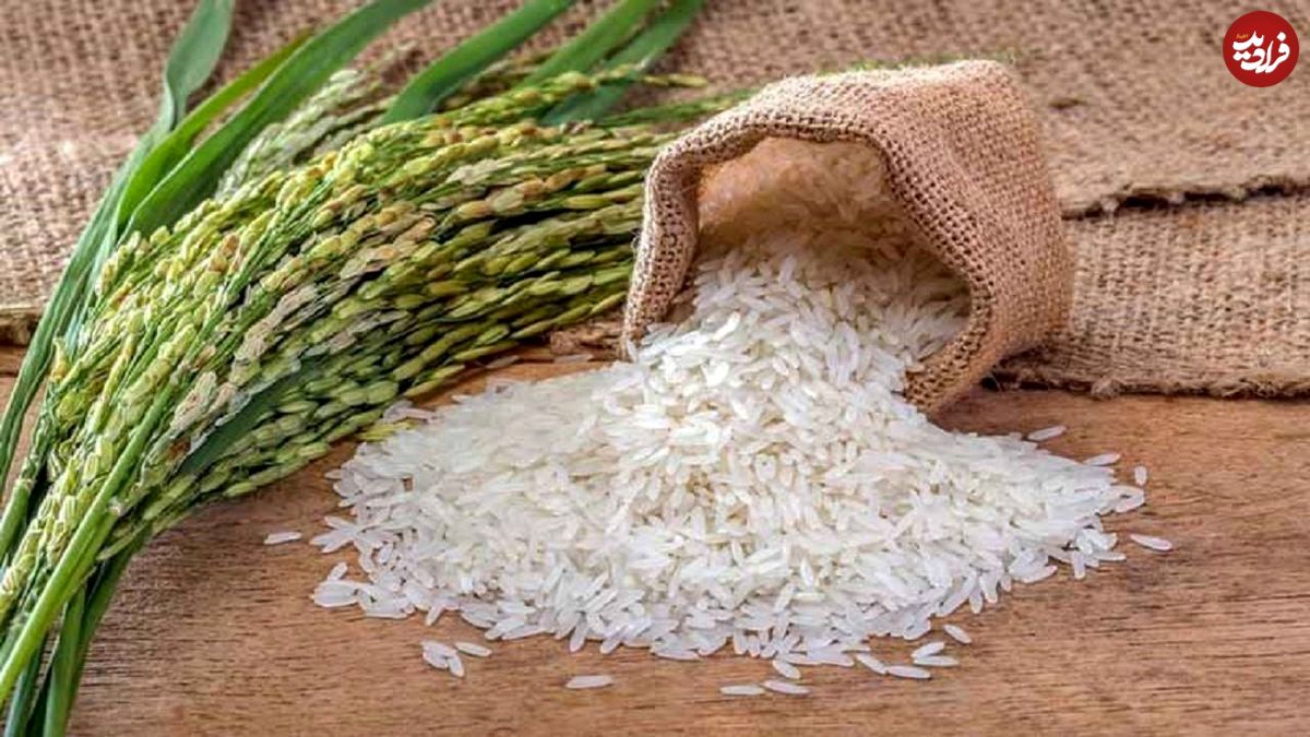 وقتی برنج در رشت ۵۰ درصد ارزان شد