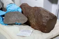 (عکس) این مرد خوش شانس که دنبال طلا بود اتفاقی گنجی ارزشمندتر پیدا کرد