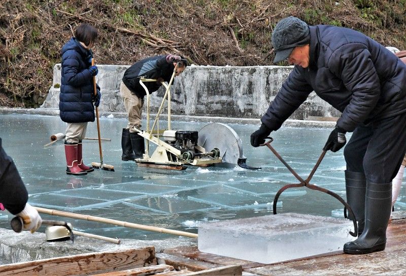 (ویدئو) برداشت شگفت انگیز «یخ» از یک دریاچه منجمد شده توسط روستائیان ژاپنی