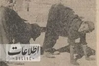 خانواده‌ای که با دست راه می‌روند